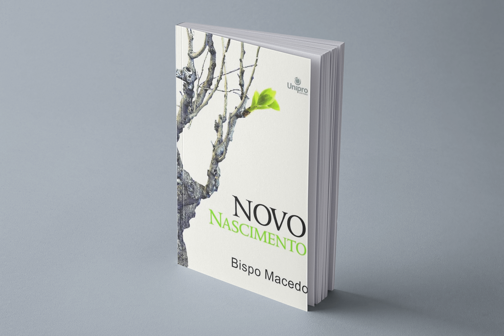 Novo Nascimento 1 Novo Nascimento