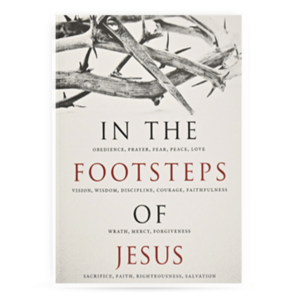 In the Footsteps of Jesus (New Edition)