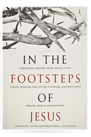In the Footsteps of Jesus (New Edition)