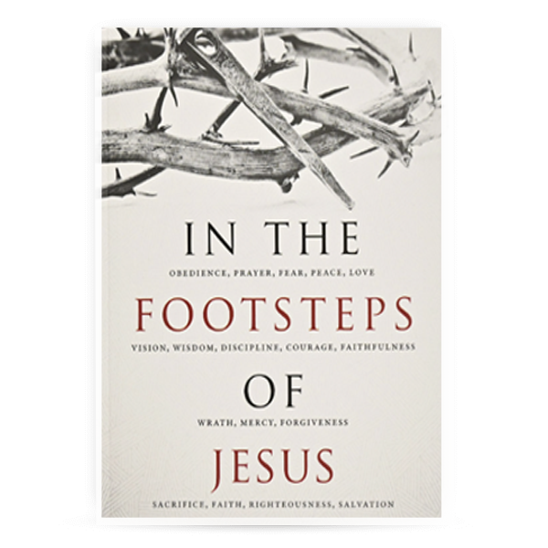 In the Footsteps of Jesus (New Edition)