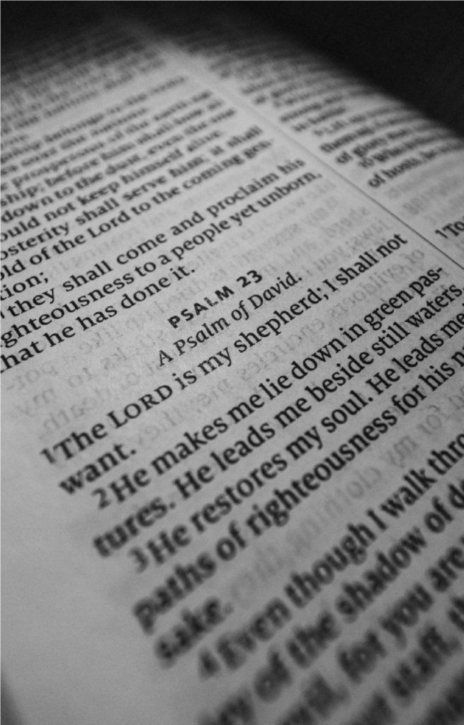 How to build a daily bible reading habit 2 bible reading