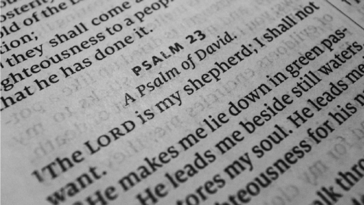 bible reading