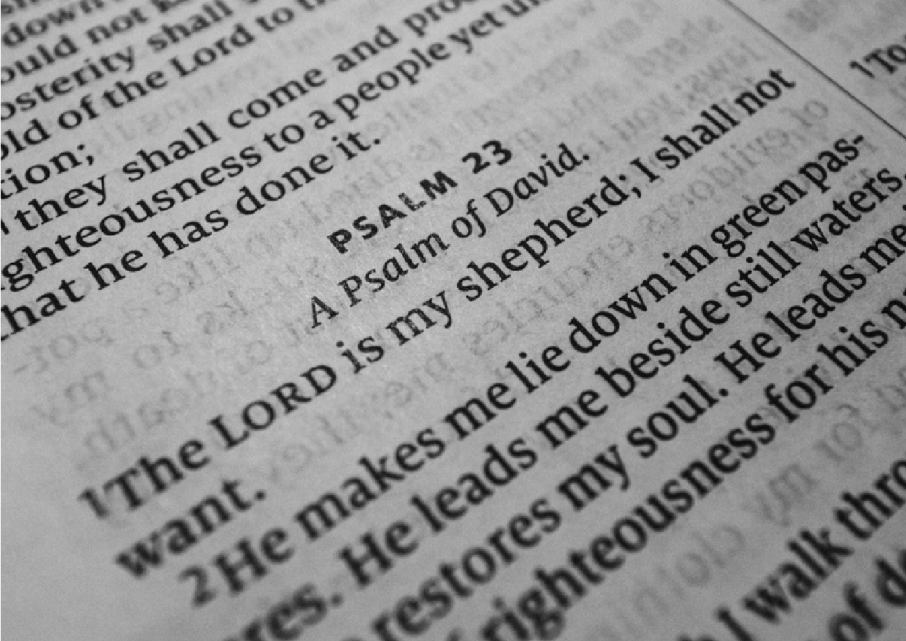 bible reading